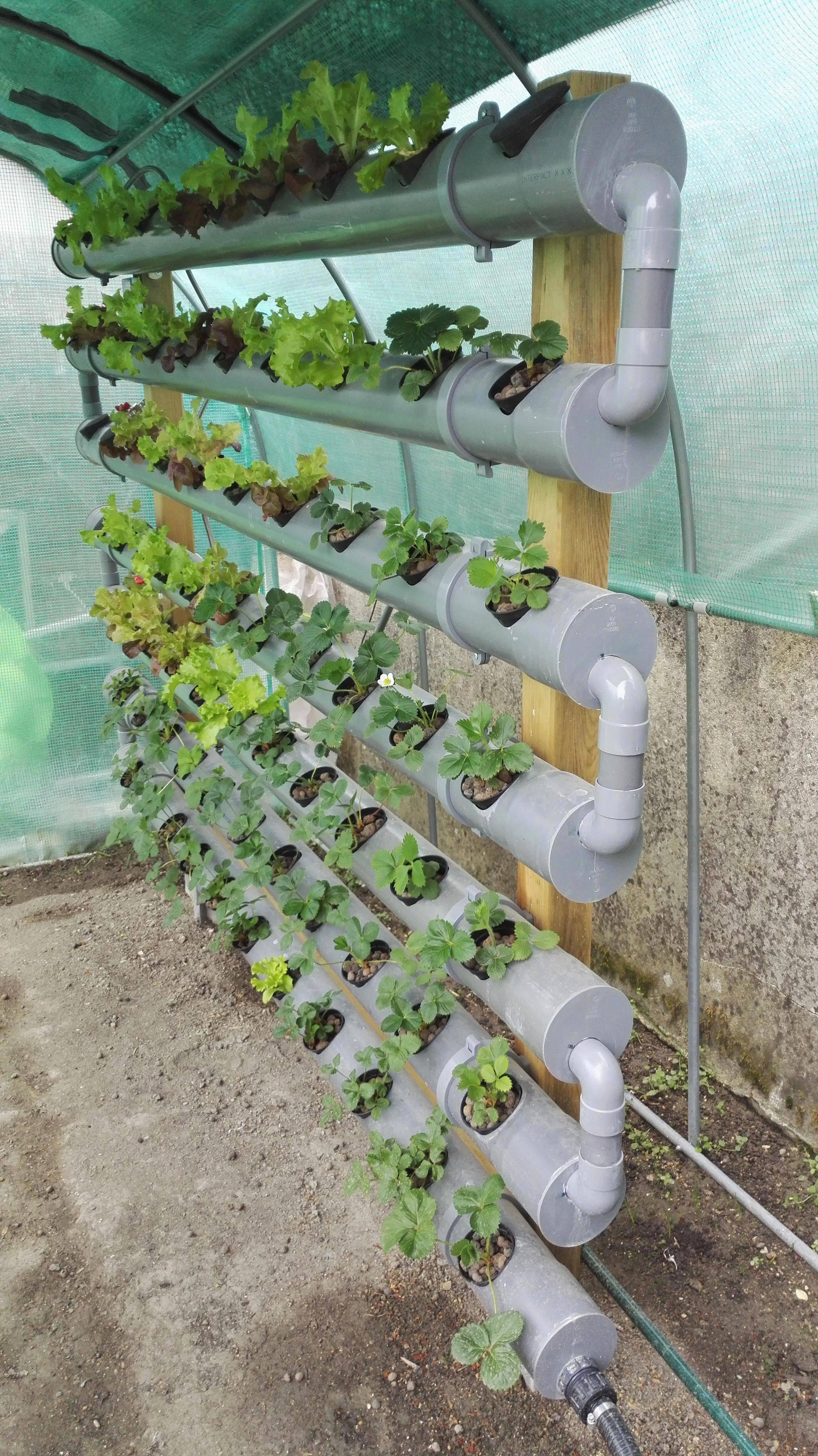 Hydroponic Garden Tower