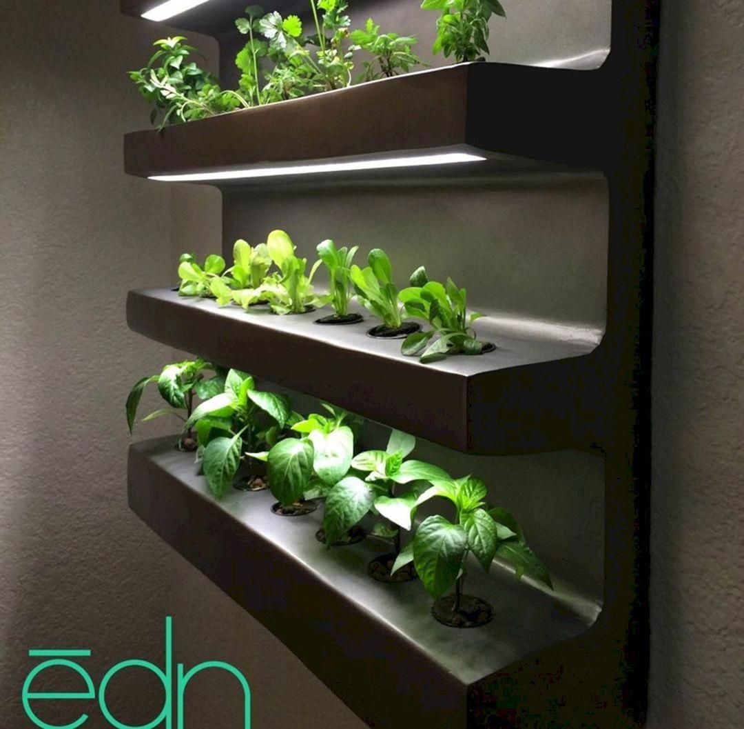 Indoor Hydroponic Wall Garden