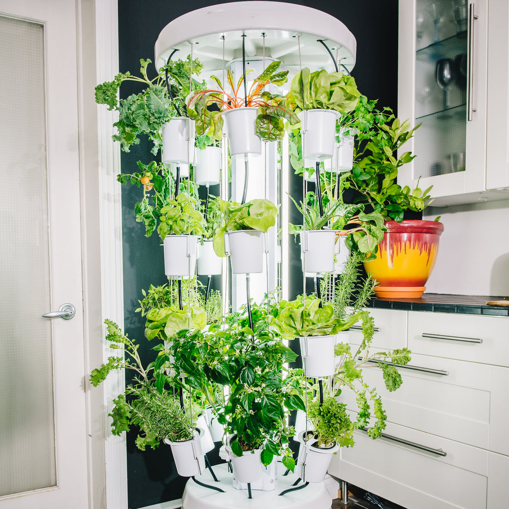 Nutritower Plant Vertical Hydroponic Indoor Gardening System