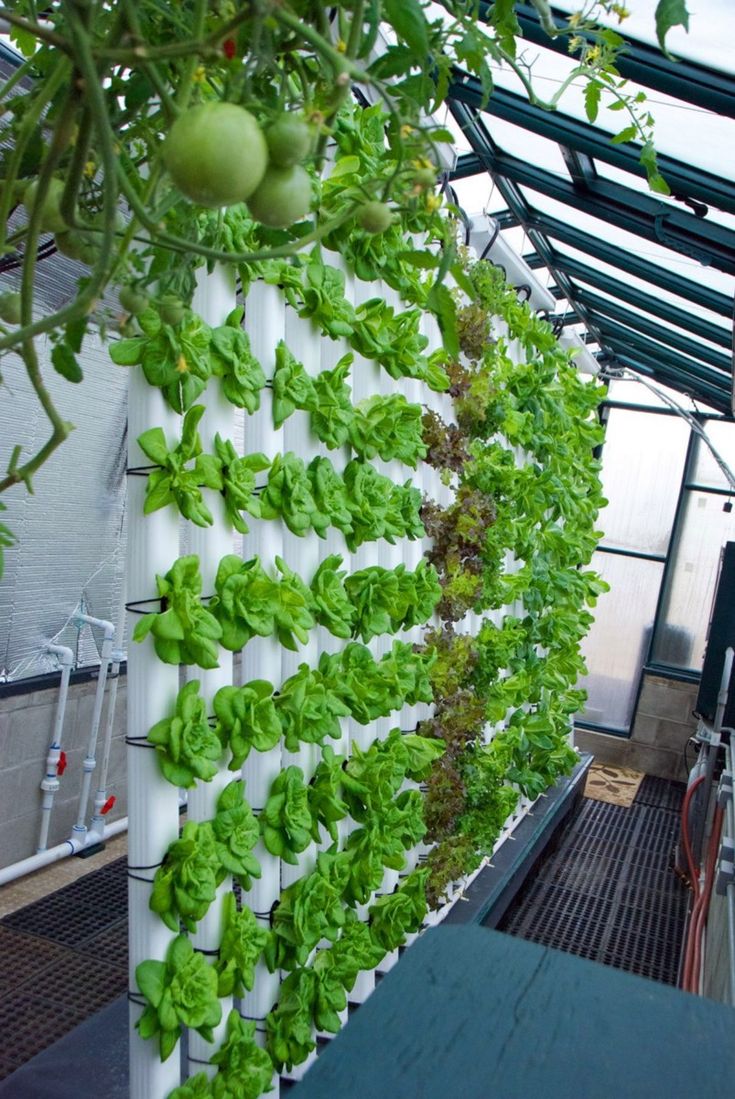 Pin By Sstoner On Ideas With Images Vertical Vegetable Gardens