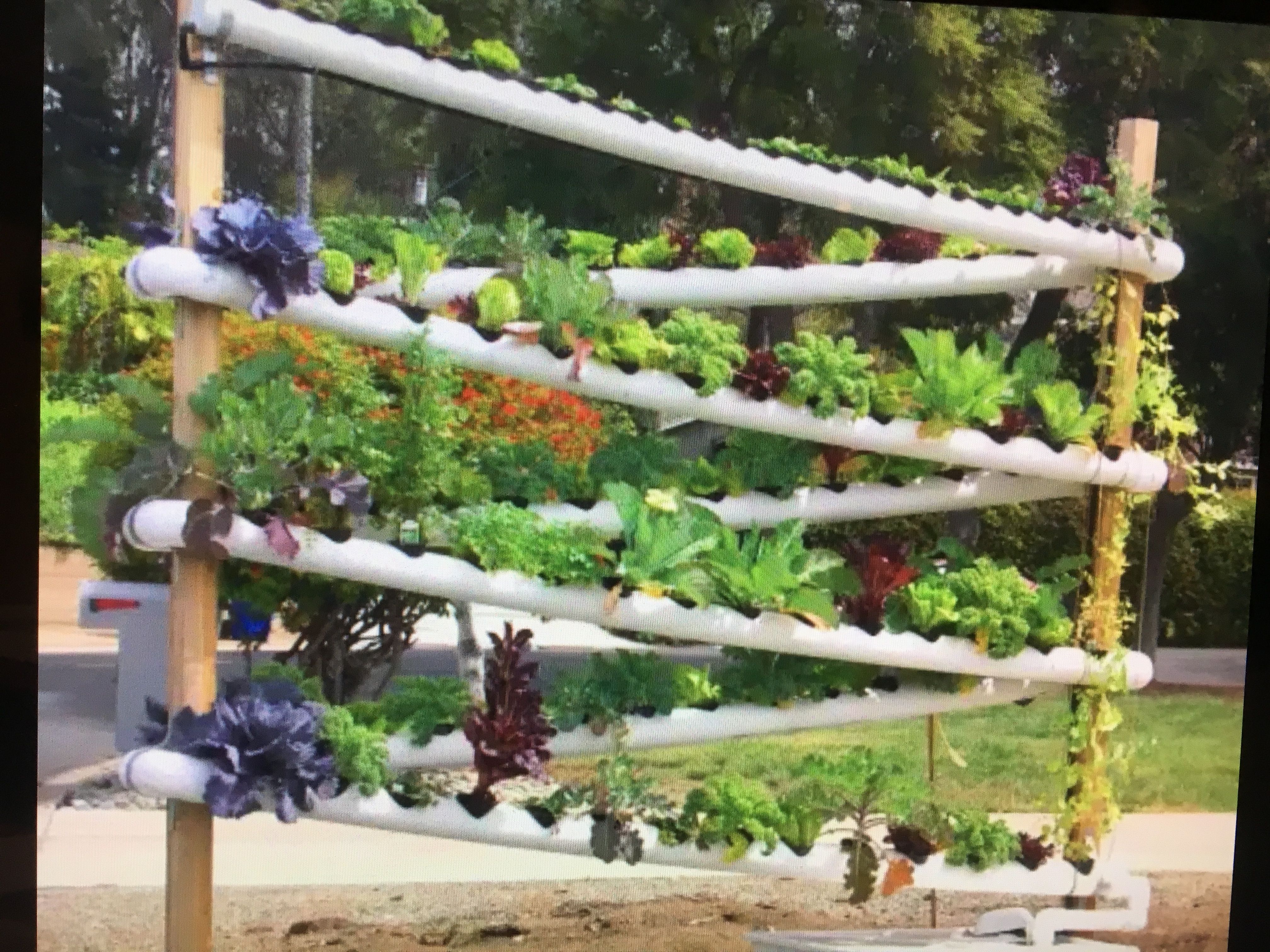 Vertical Garden Systems