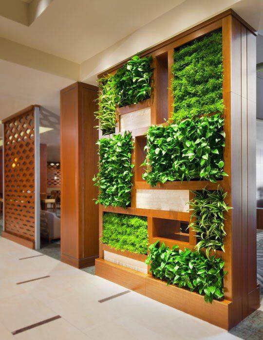 Best Indoor Garden Ideas