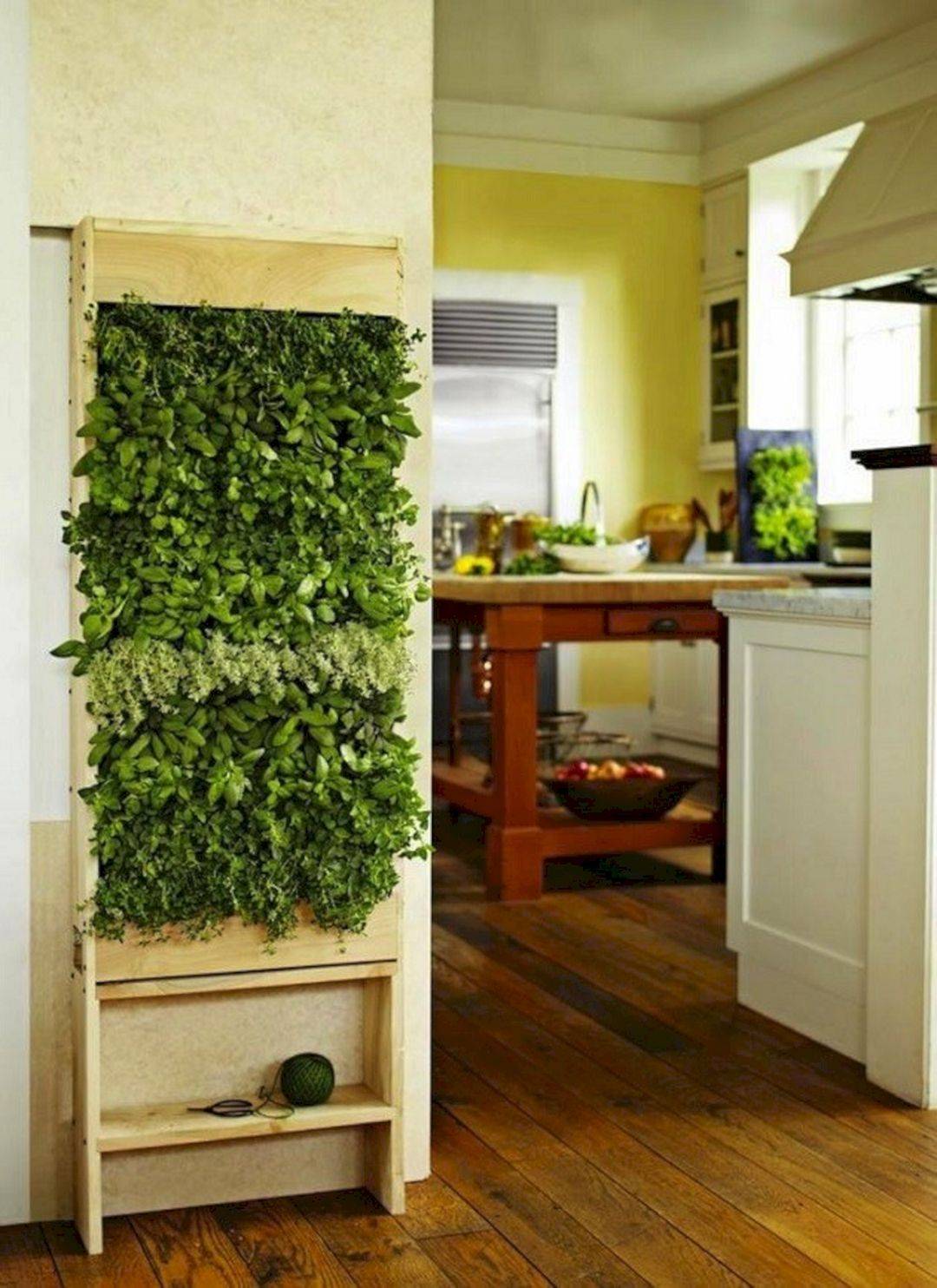 Modern Amazing Indoor Garden Ideas