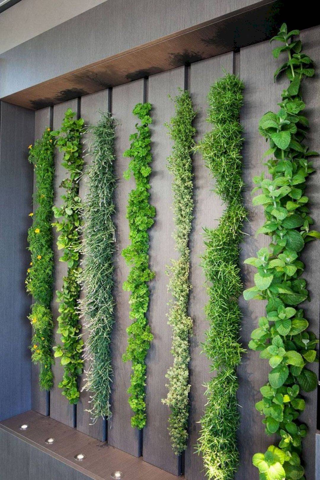 Indoor Vertical Garden Ideas