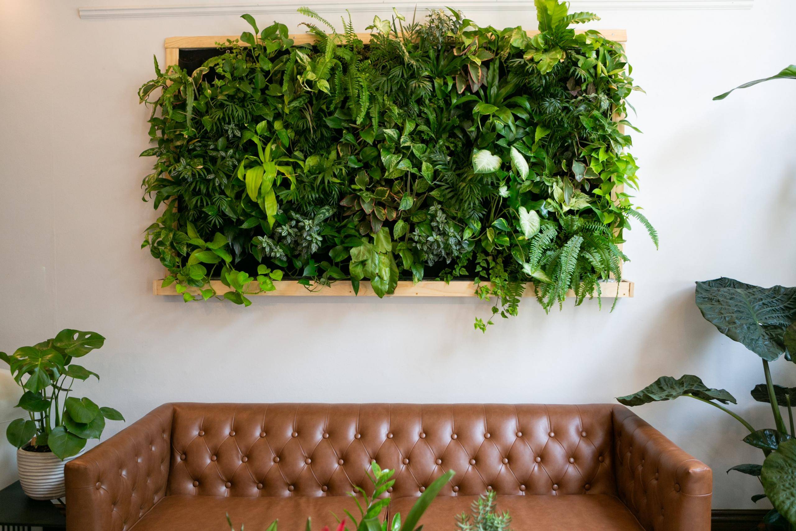 Indoor Vertical Gardening