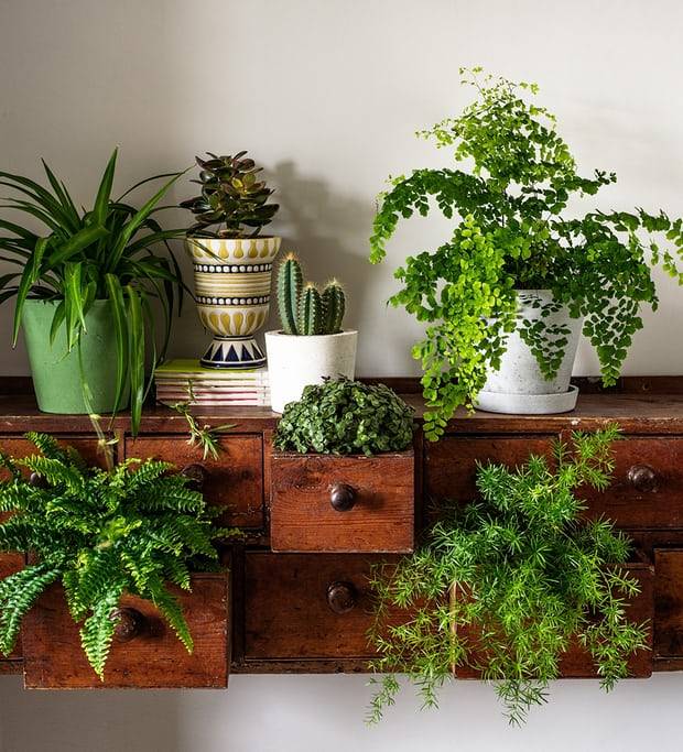 Selfwatering Indoor Vertical Garden Screen Ideas