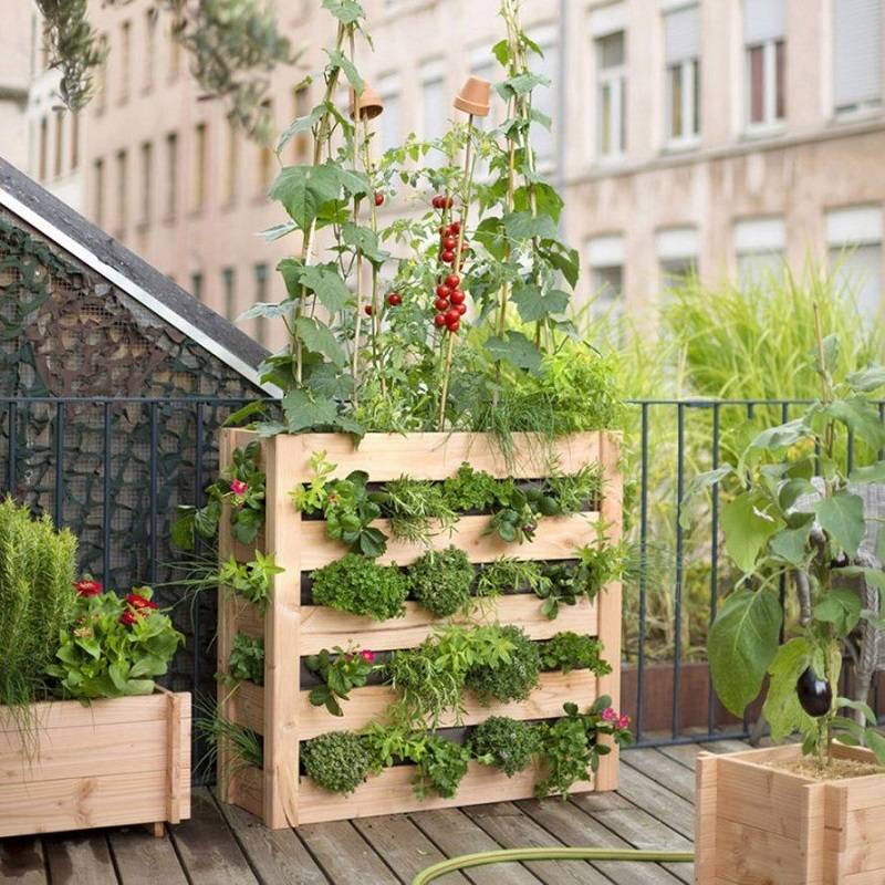 Small Urban Garden Design Ideas