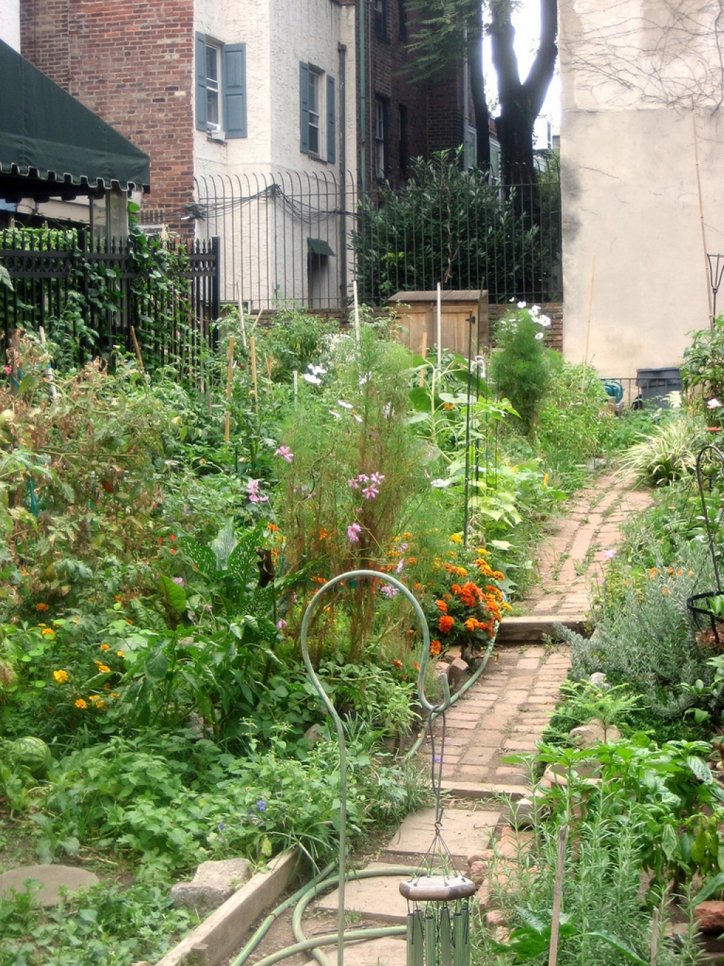 Urban Gardening Ideas