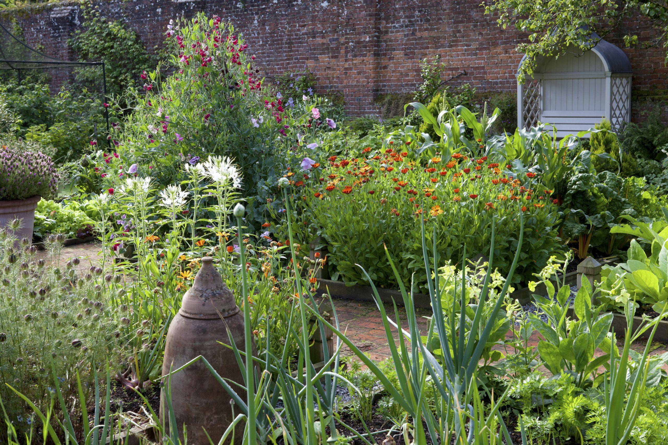 22 Cottage Vegetable Garden Design Ideas To Consider | SharonSable