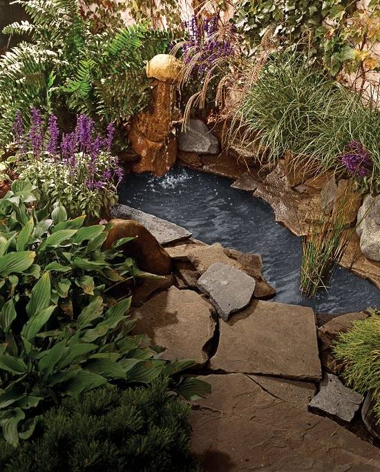 18 Diy Water Garden Ideas To Consider Sharonsable 4043