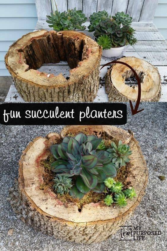 Amazing Diy Tree Log Projects