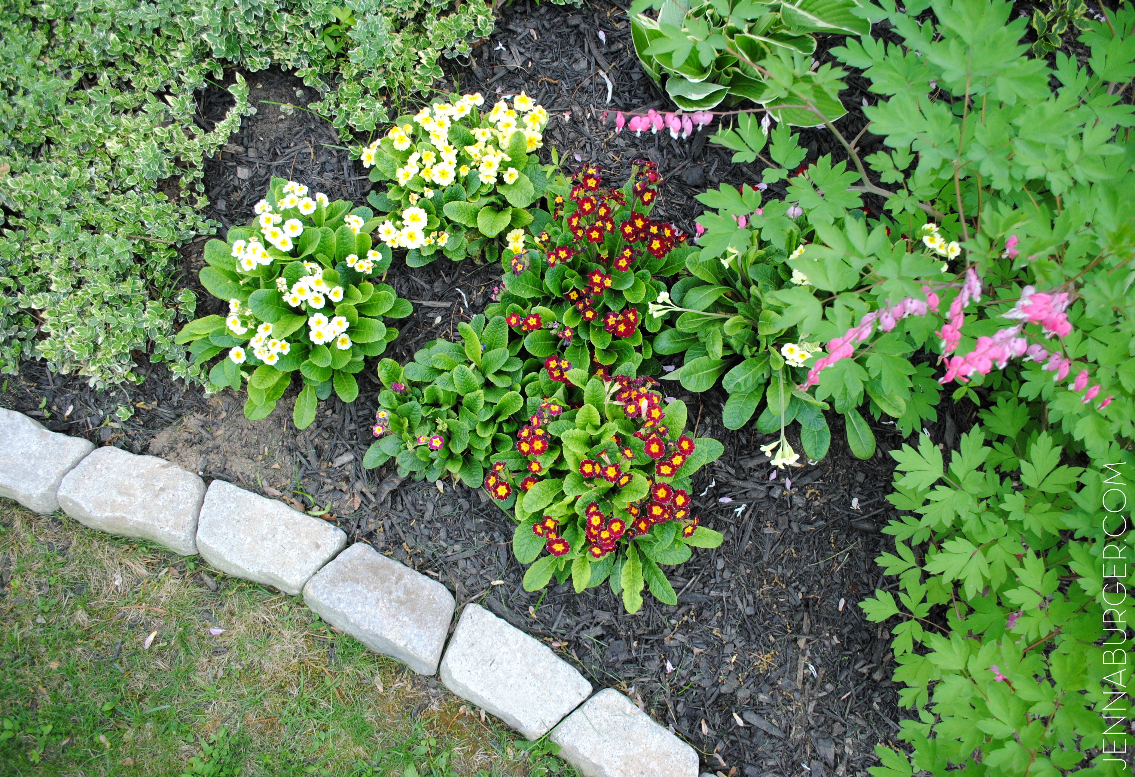 Nicely Defined Flower Bed