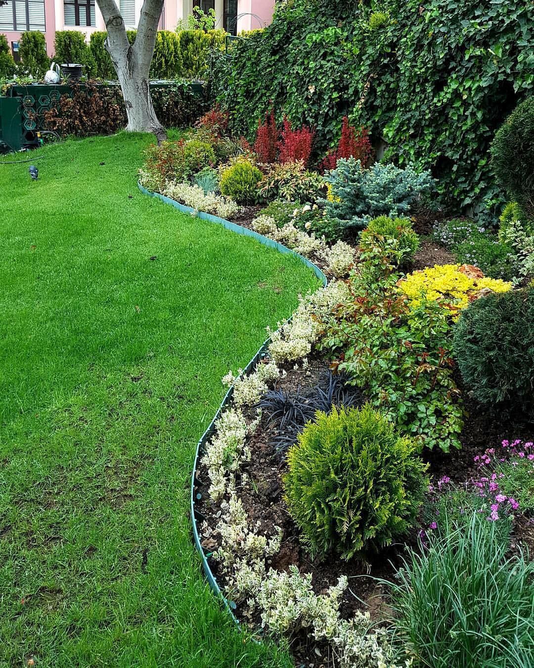 20 Creative Garden Edging Ideas You Should Look Sharonsable