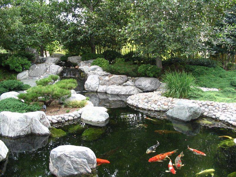 20 Zen Garden Koi Pond Ideas You Cannot Miss | SharonSable