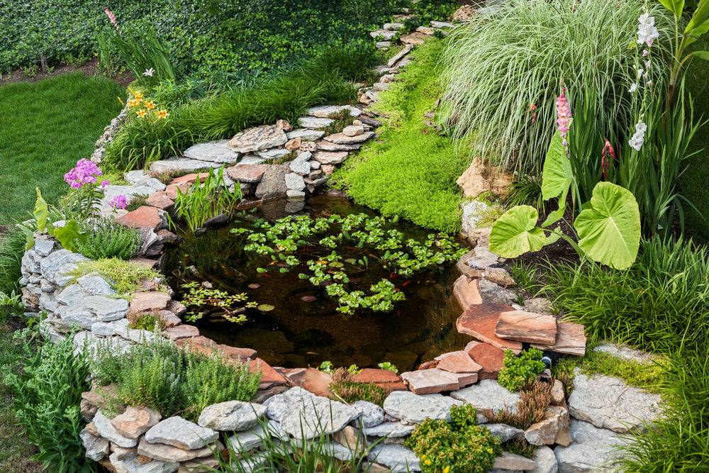 22 Rock Garden Pond Ideas Worth a Look | SharonSable