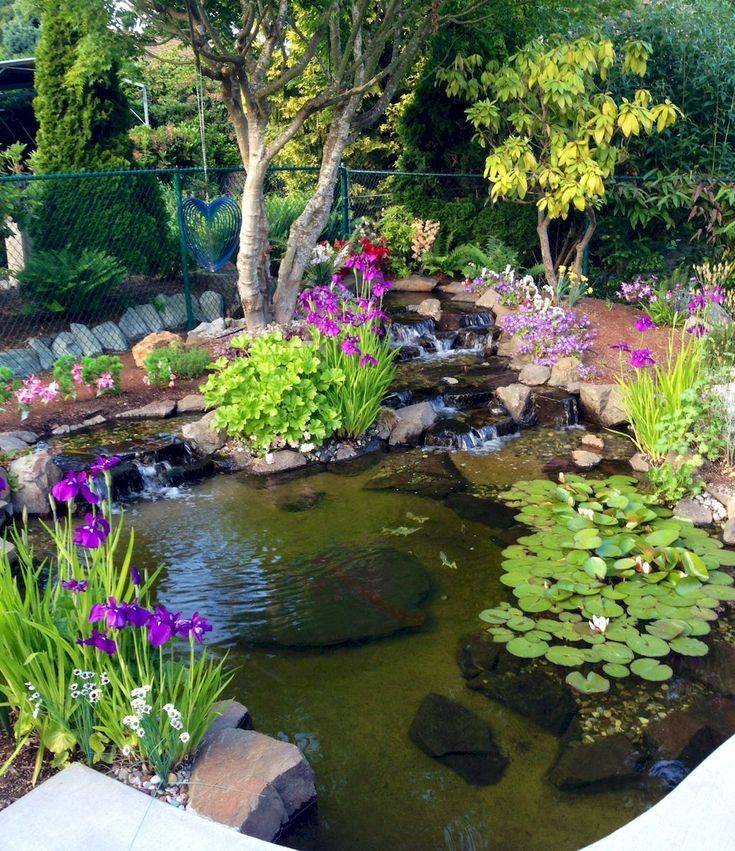 22 Rock Garden Pond Ideas Worth a Look | SharonSable