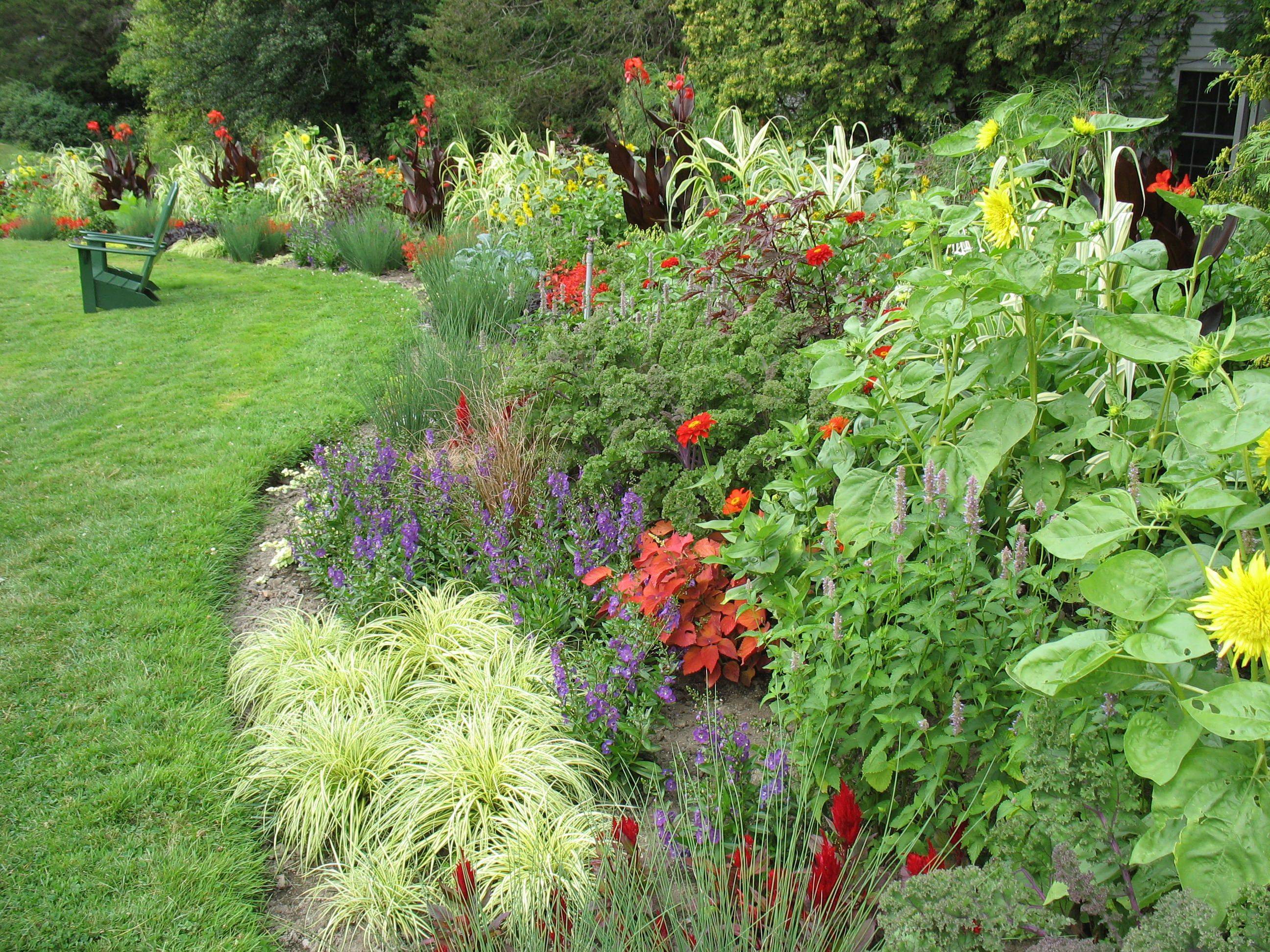 18 Mixed Border Garden Design Ideas Worth a Look | SharonSable