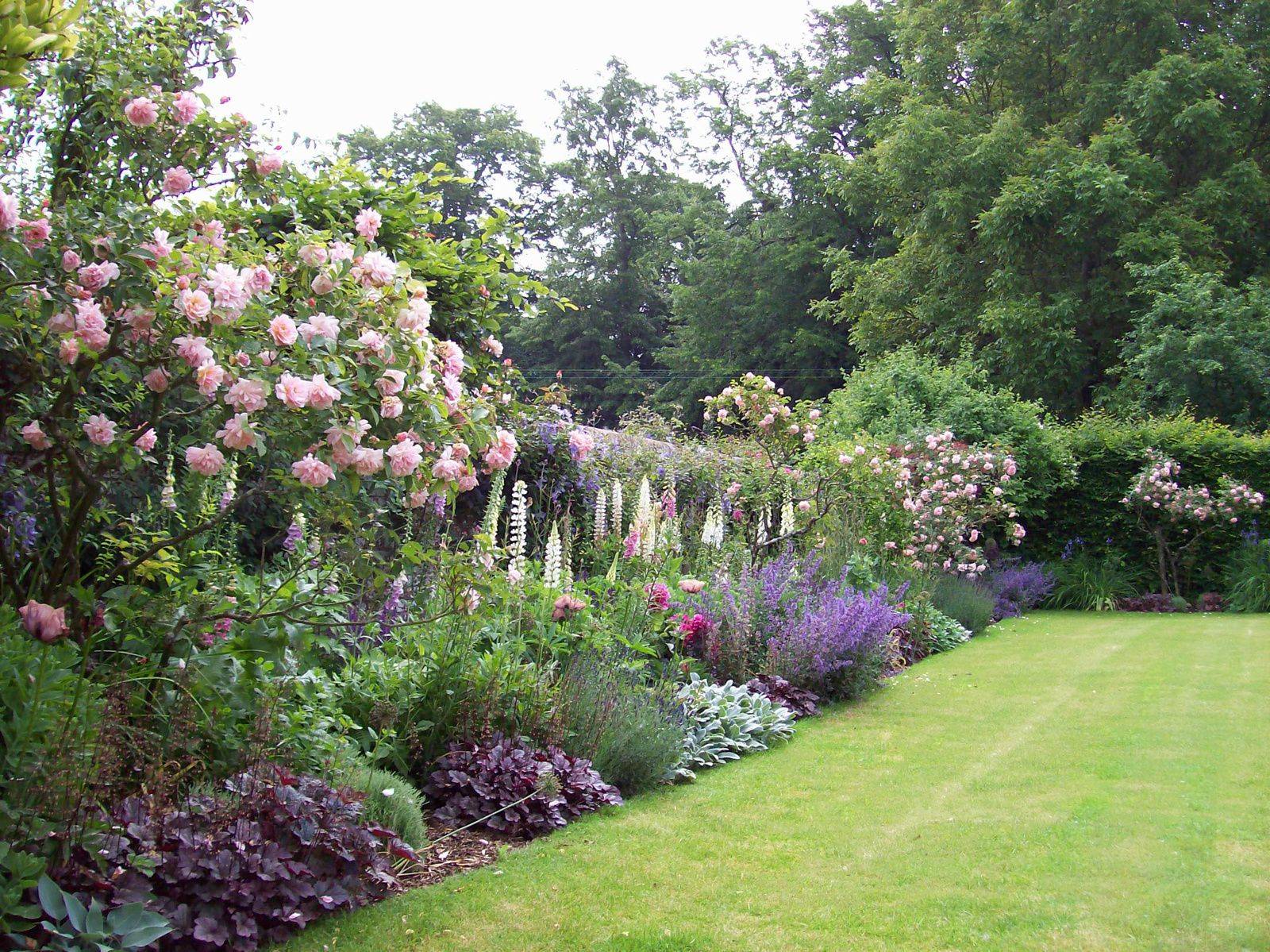 A Shady Border Anne Macfie Garden Design Rustic Style Garden Homify