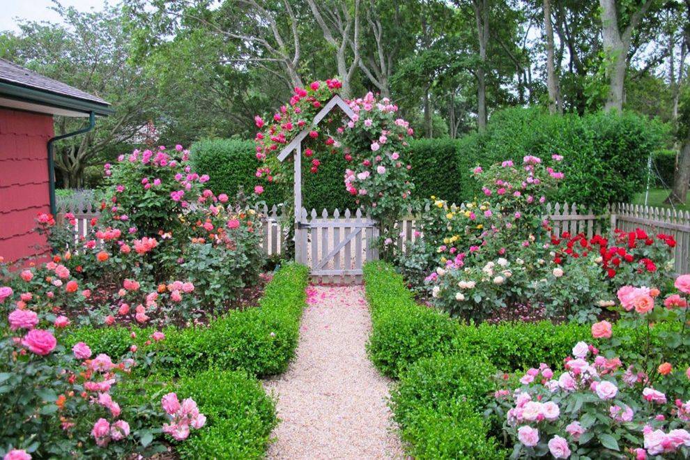 Cottage Garden Design