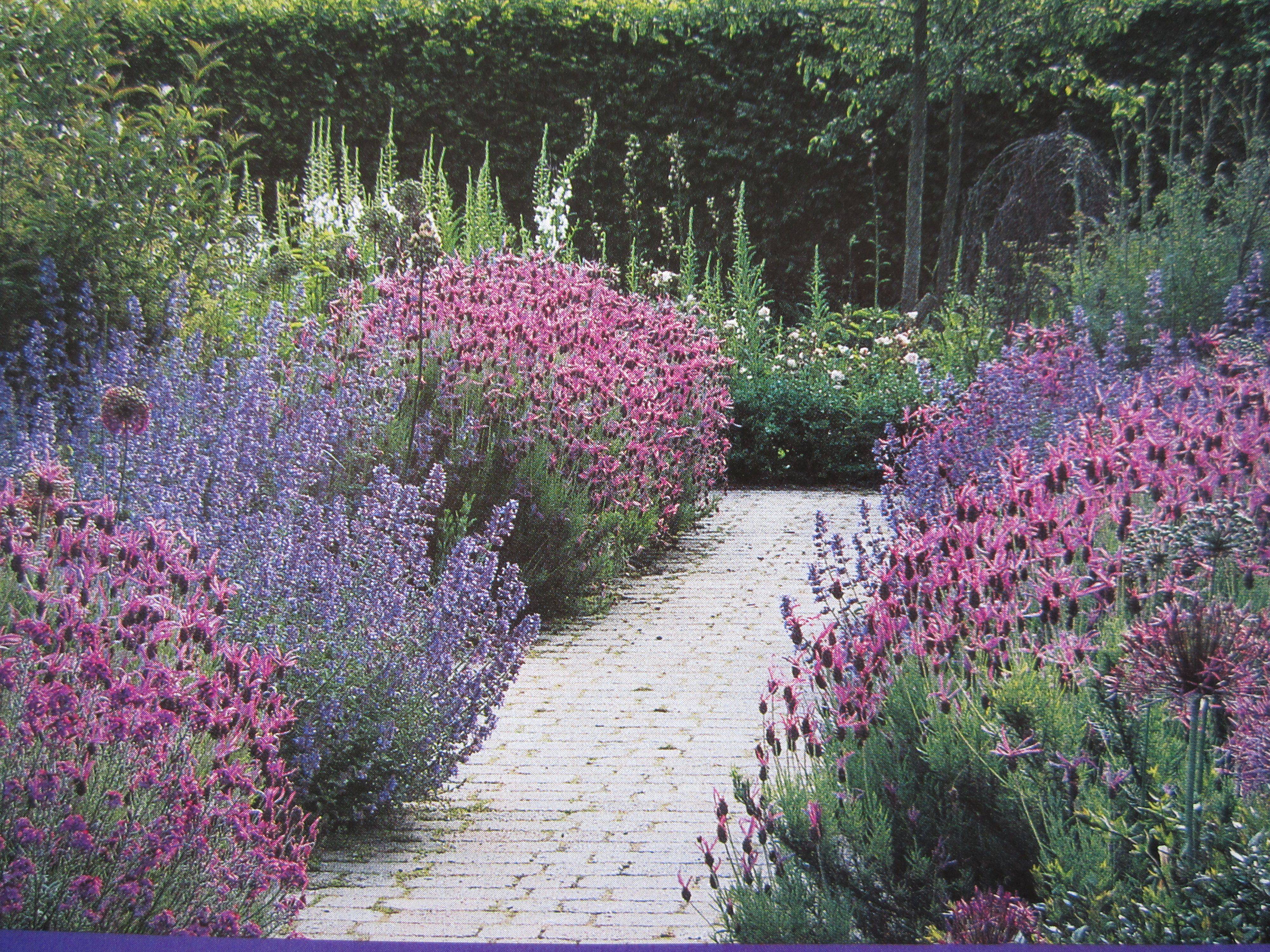 Cottage Garden Design