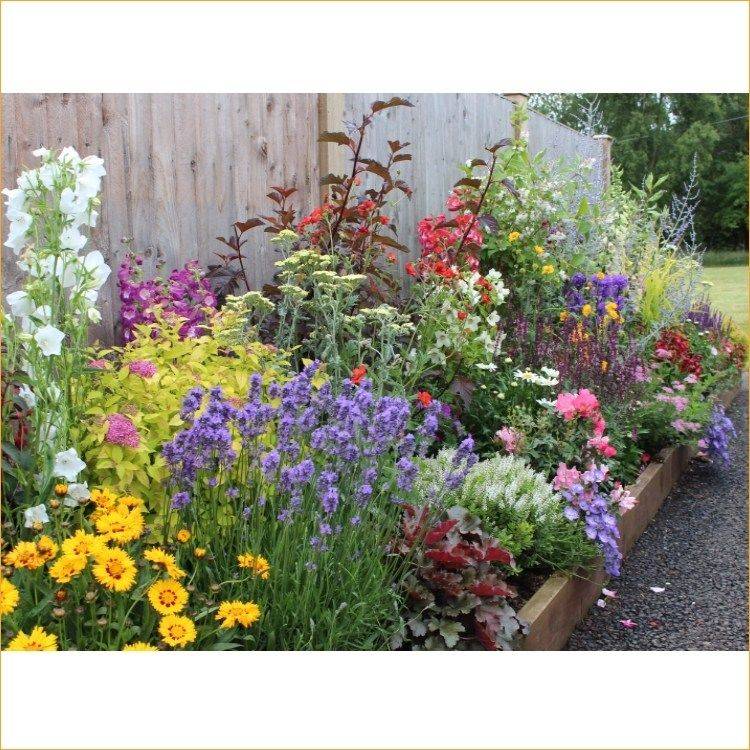 English Cottage Border Cottage Garden Borders