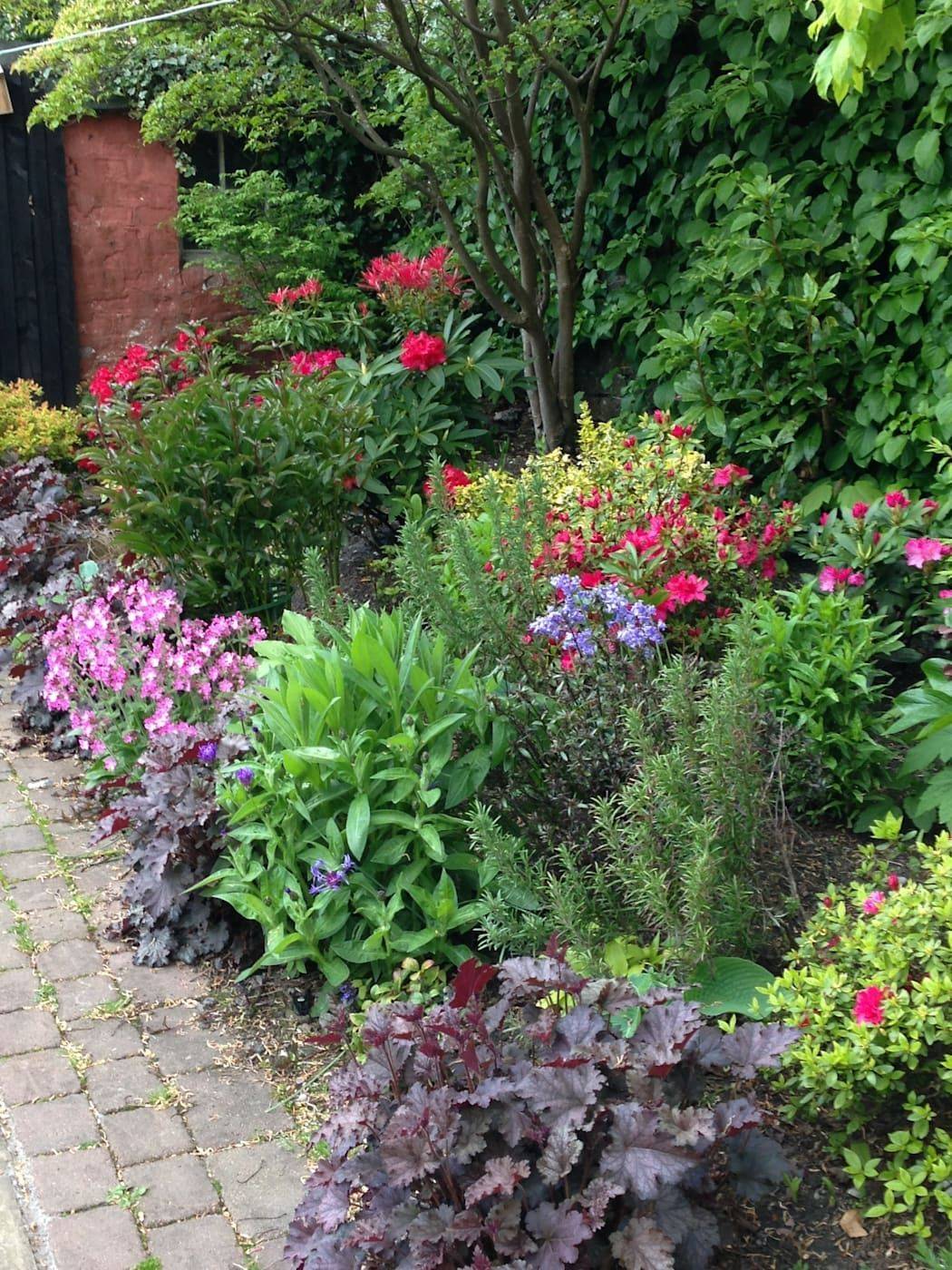 Pretty Cottage Garden Border Ideas