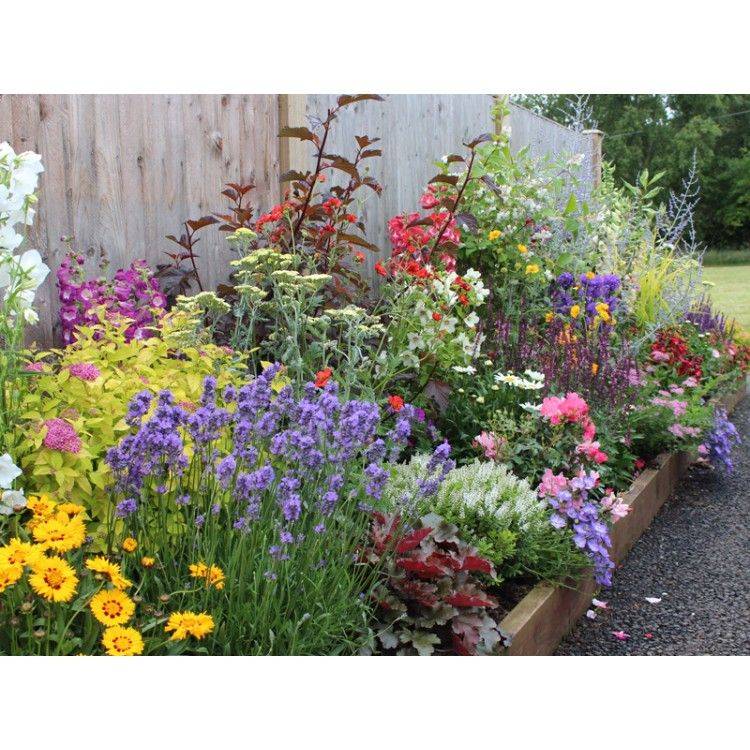 Small Garden Design Ideas Low Maintenance