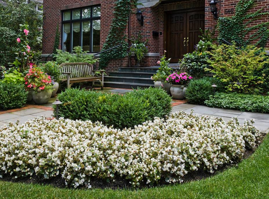 23 Best Garden Border Plants Ideas For This Year | SharonSable