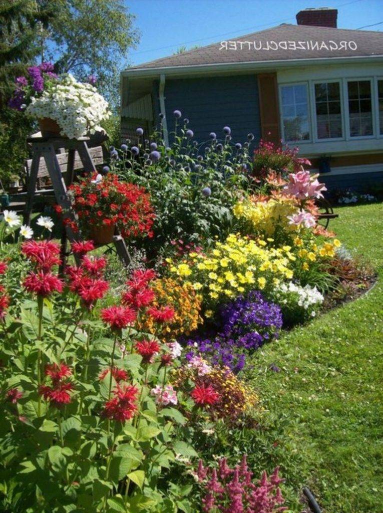 19 Full-Sun Perennial Garden Ideas To Try This Year | SharonSable