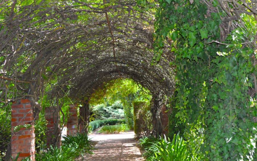 23 Garden Arbor Tunnel Ideas Worth to Check | SharonSable