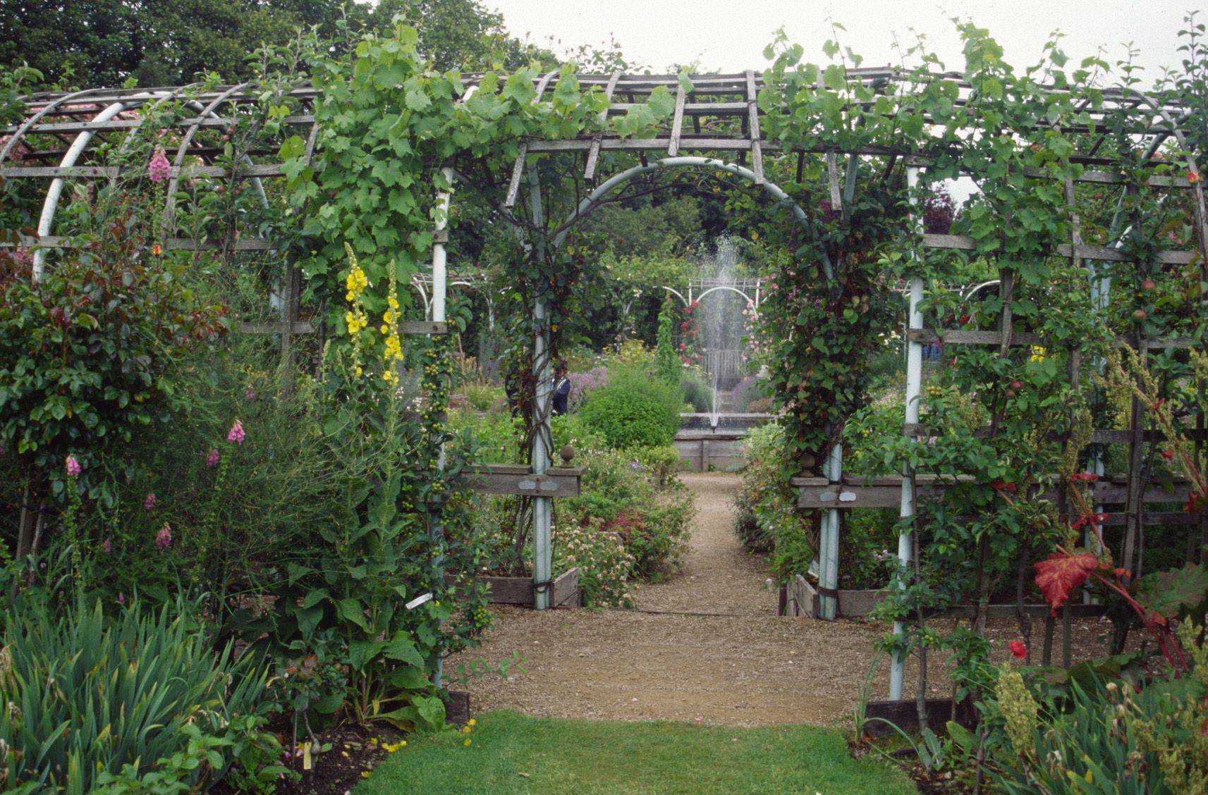 23 Garden Arbor Tunnel Ideas Worth to Check | SharonSable