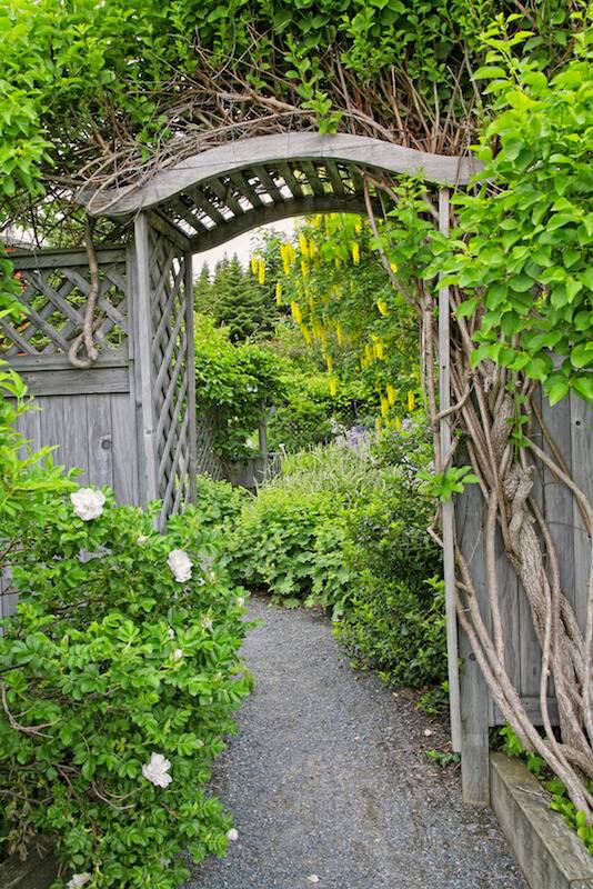 23 Garden Arbor Tunnel Ideas Worth to Check | SharonSable