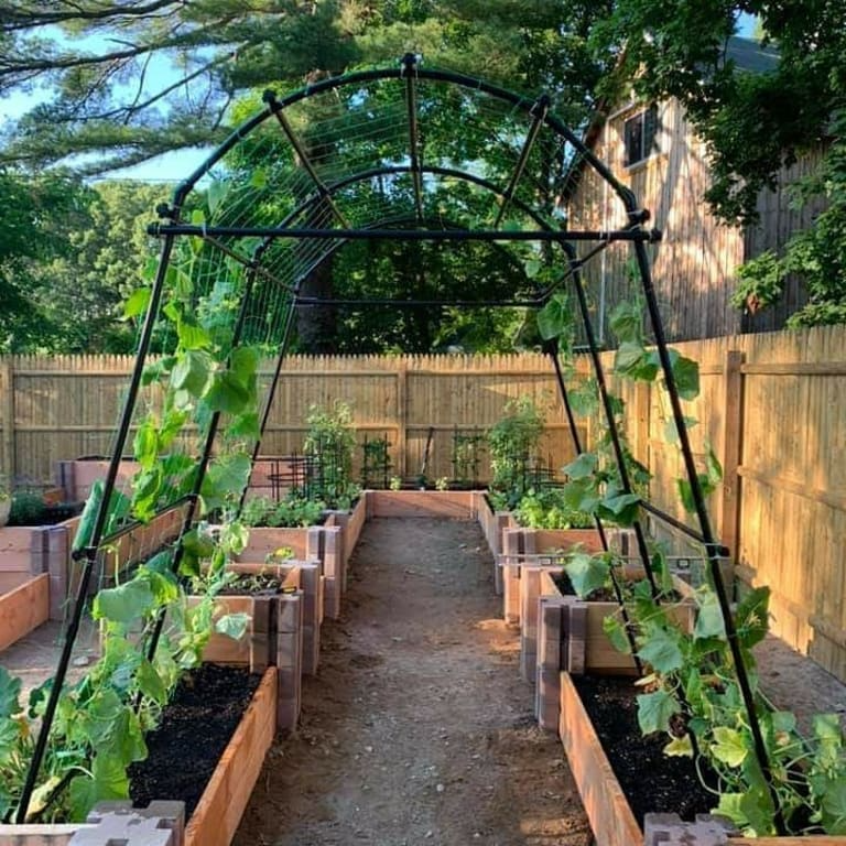 23 Garden Arbor Tunnel Ideas Worth to Check | SharonSable