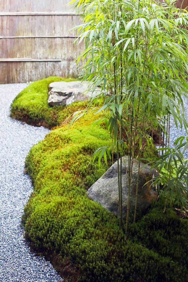 23 Japanese Bamboo Garden Design Ideas You Should Check Sharonsable