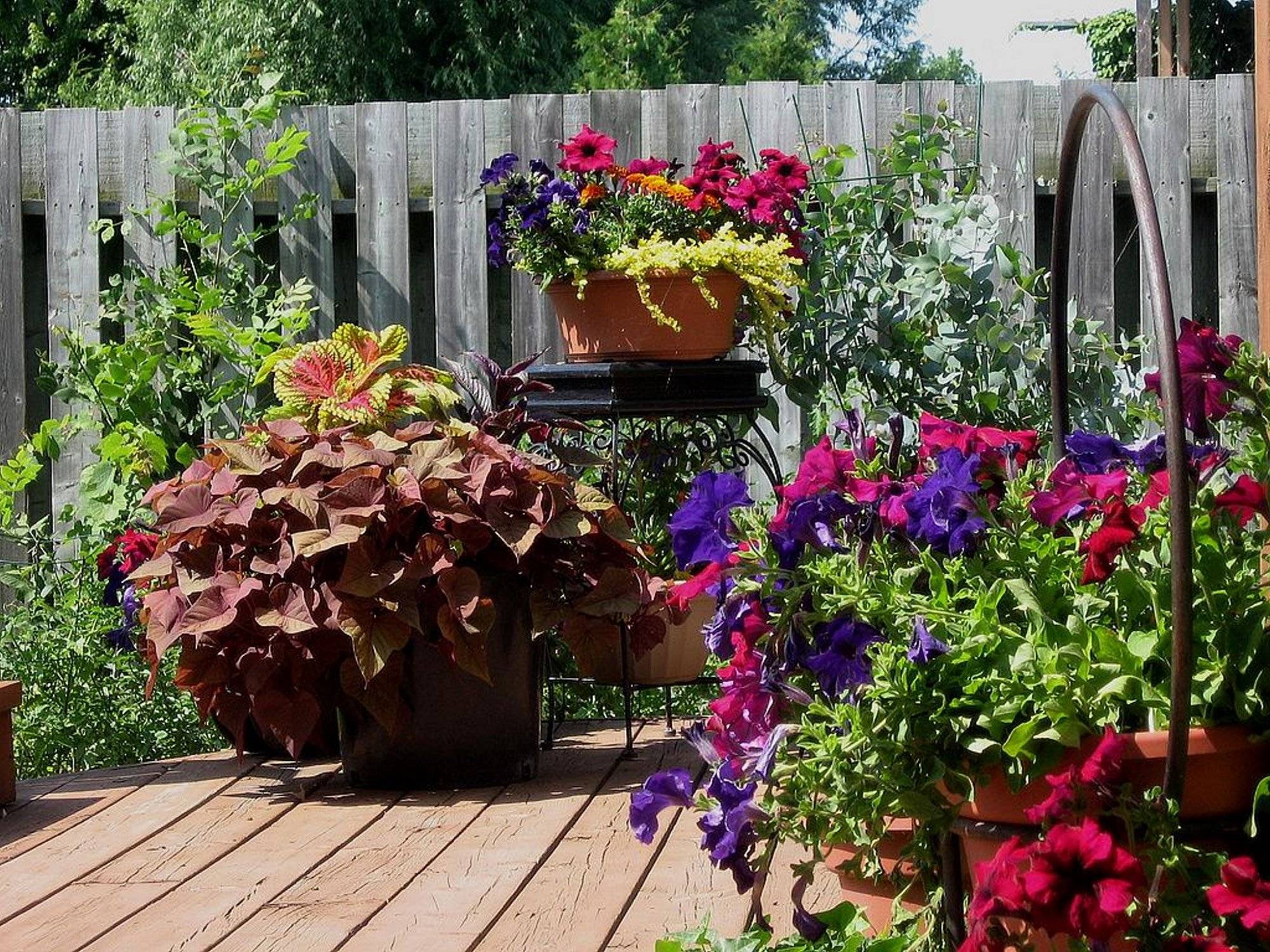 20 Container Flower Garden Design Ideas To Try This Year Sharonsable