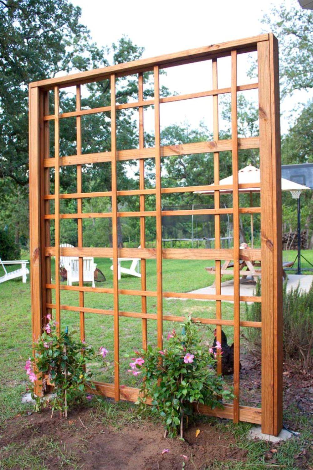 24 Creative Garden Trellis Ideas To Try This Year | SharonSable