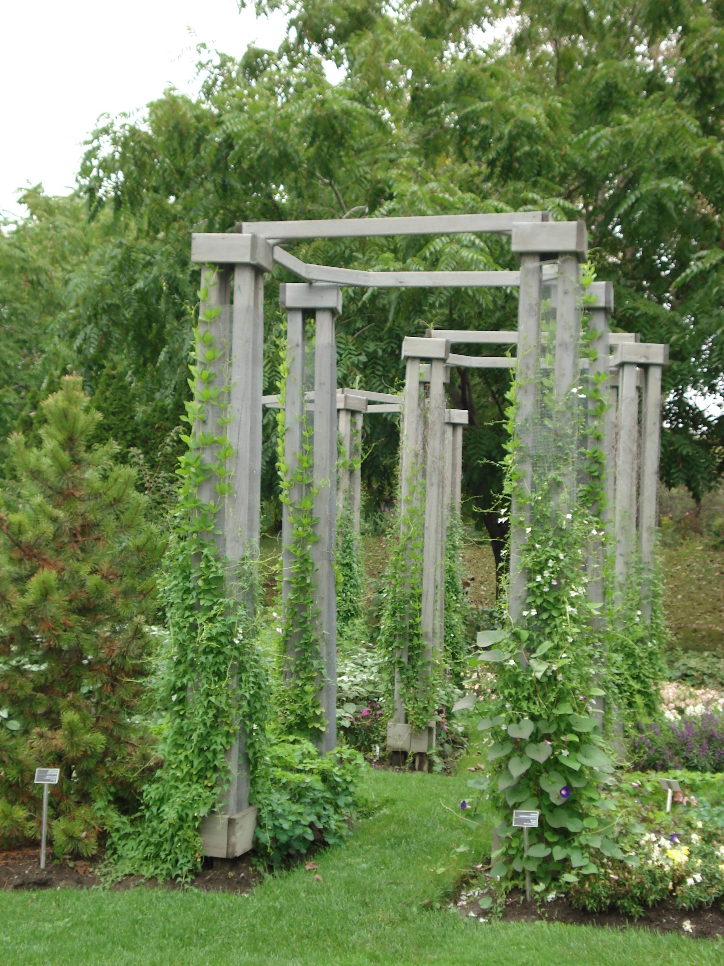 20 Easy Garden Trellis Ideas You Gonna Love | SharonSable