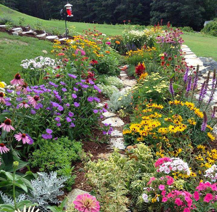 25 Wildflower Garden Design Plans Ideas To Try This Year 