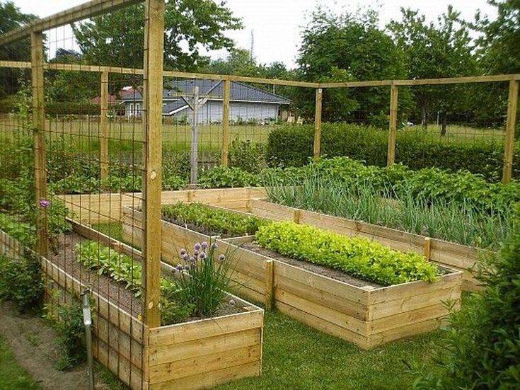 17 Kitchen Garden Design Ideas To Consider | SharonSable