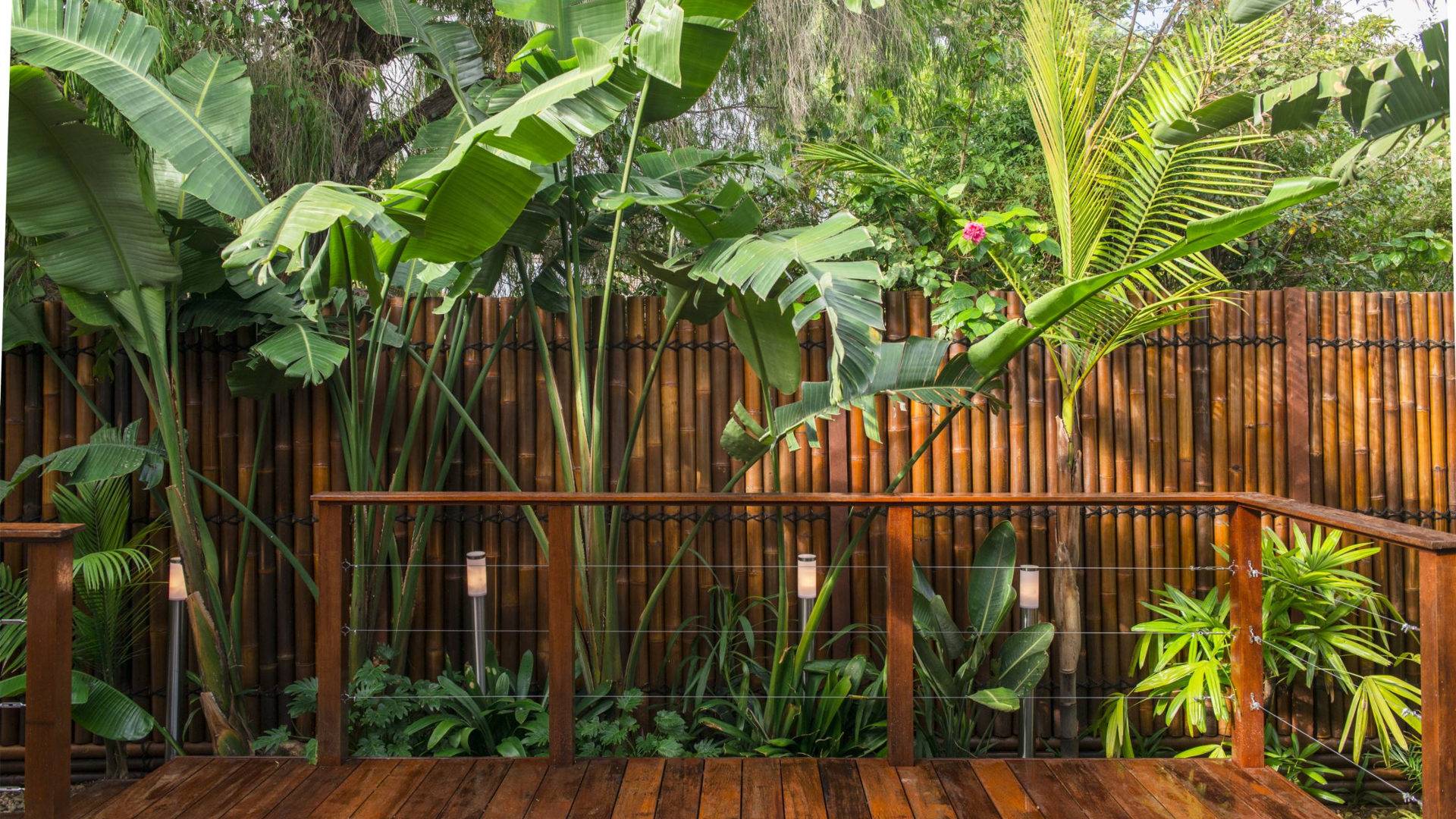 18 Bamboo Garden Design Ideas You Cannot Miss Sharonsable