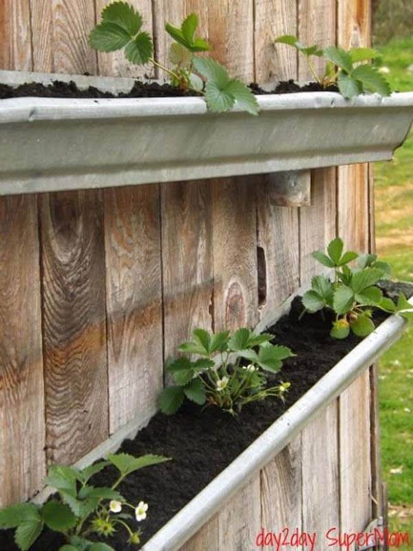 20 Rain Gutter Garden Ideas You Should Check | SharonSable