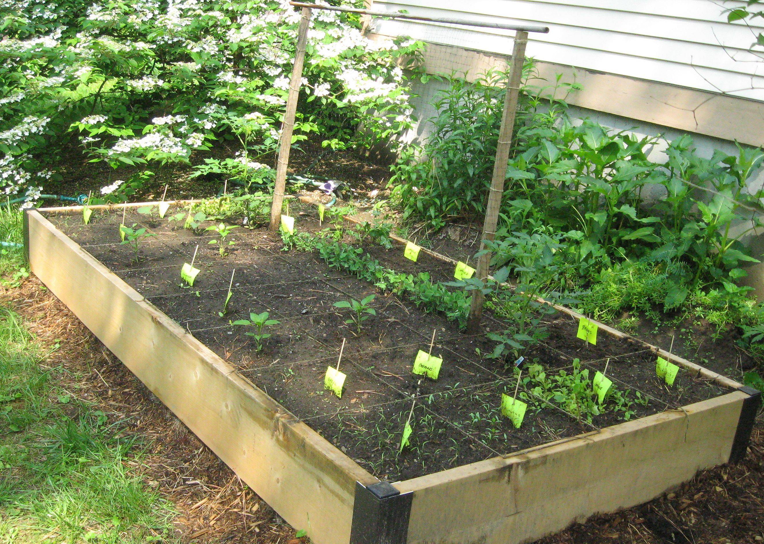 24 Easy Vegetable Garden Ideas Worth to Check | SharonSable