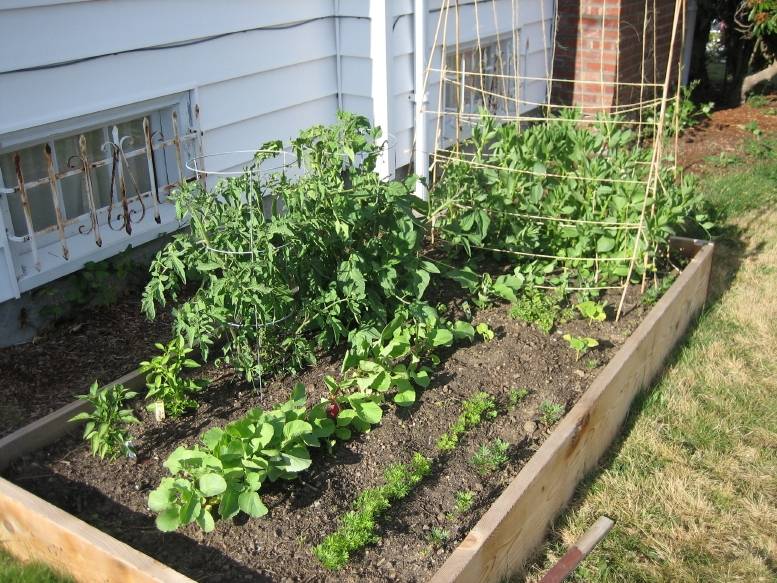 24 Easy Vegetable Garden Ideas Worth to Check | SharonSable