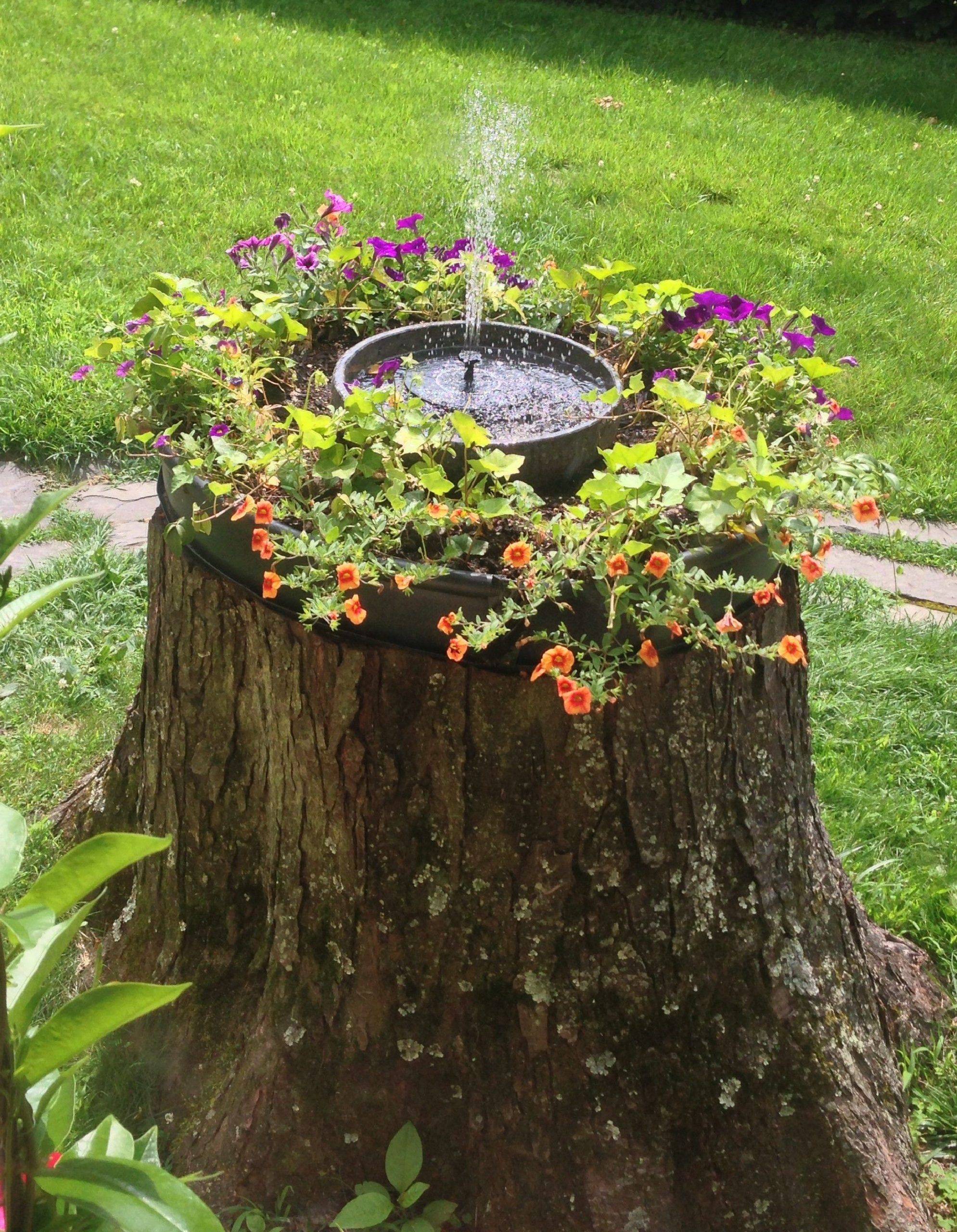 21 Tree Stump Garden Ideas You Should Look Sharonsable