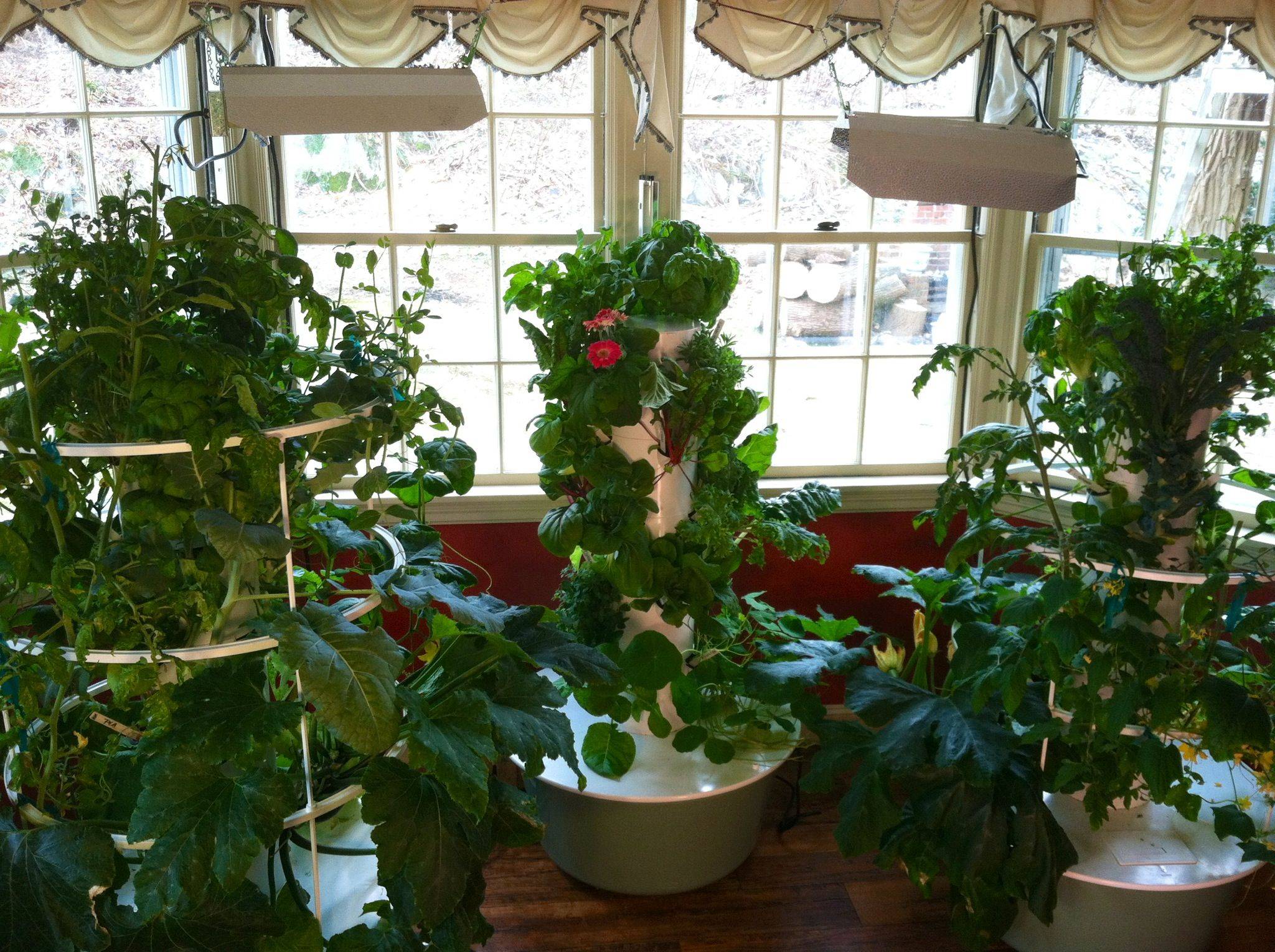 13 Indoor Winter Garden Ideas Worth To Check Sharonsable