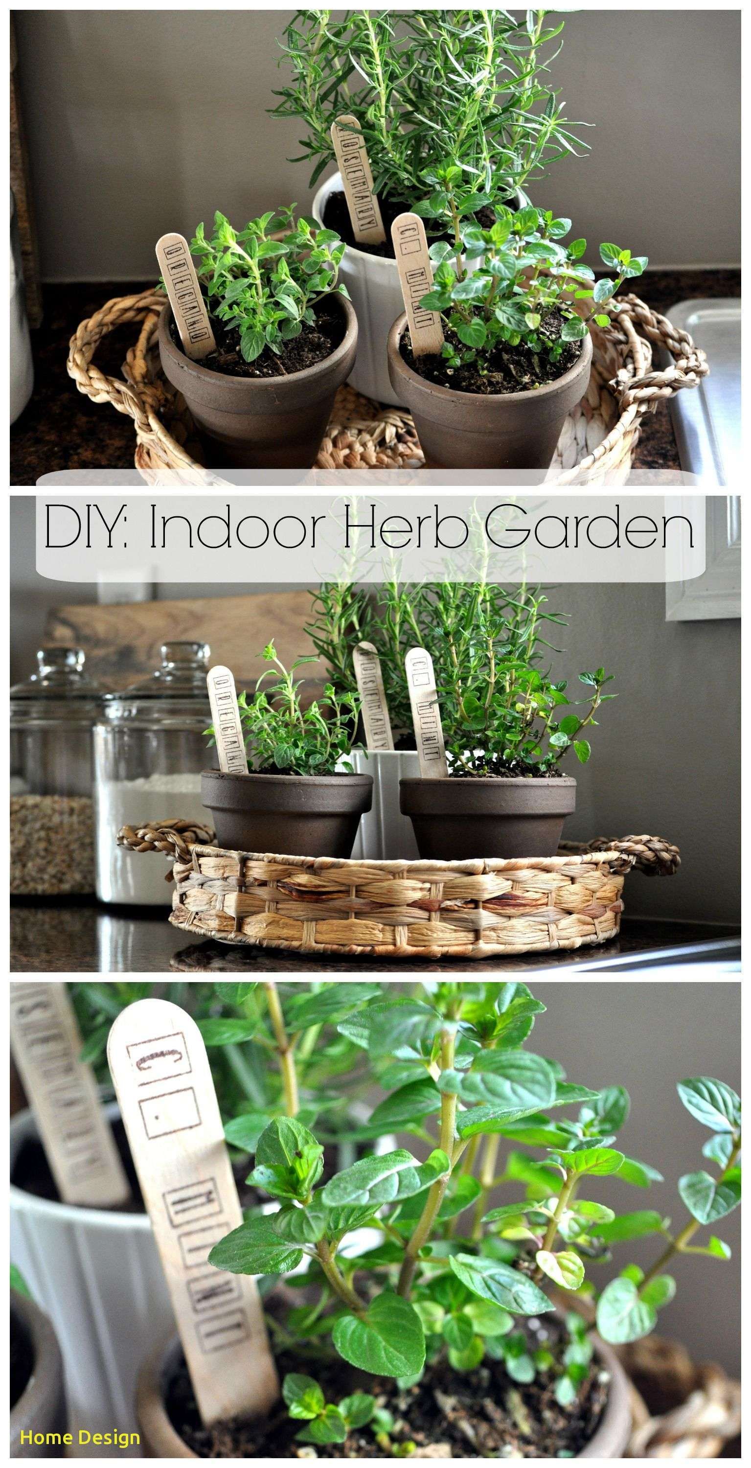 17 Winter Herb Garden Ideas You Should Look | SharonSable