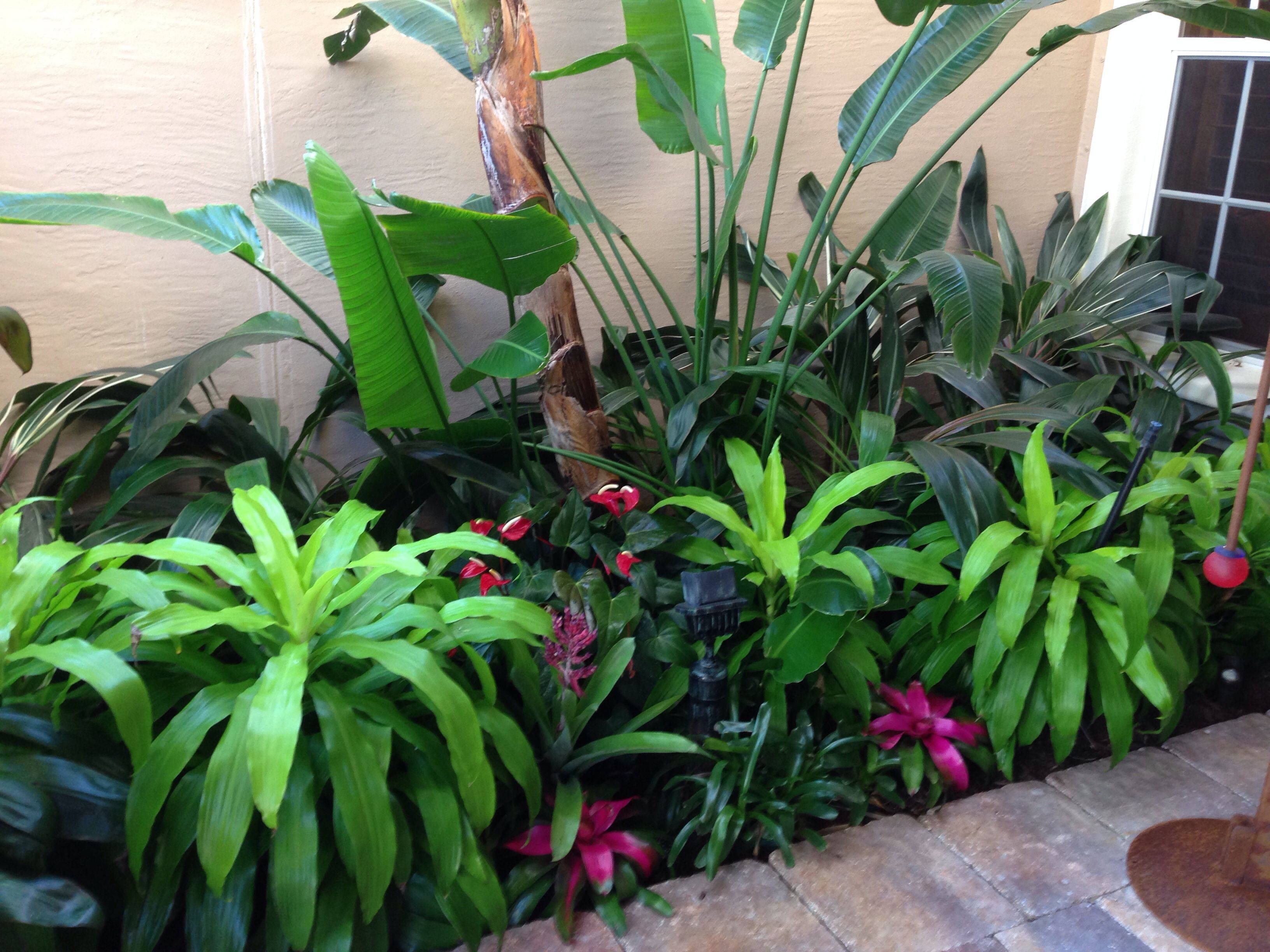Awesome Wonderful Tropical Landscaping Ideas