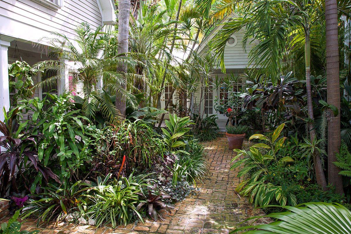 A Modern Tropical Garden