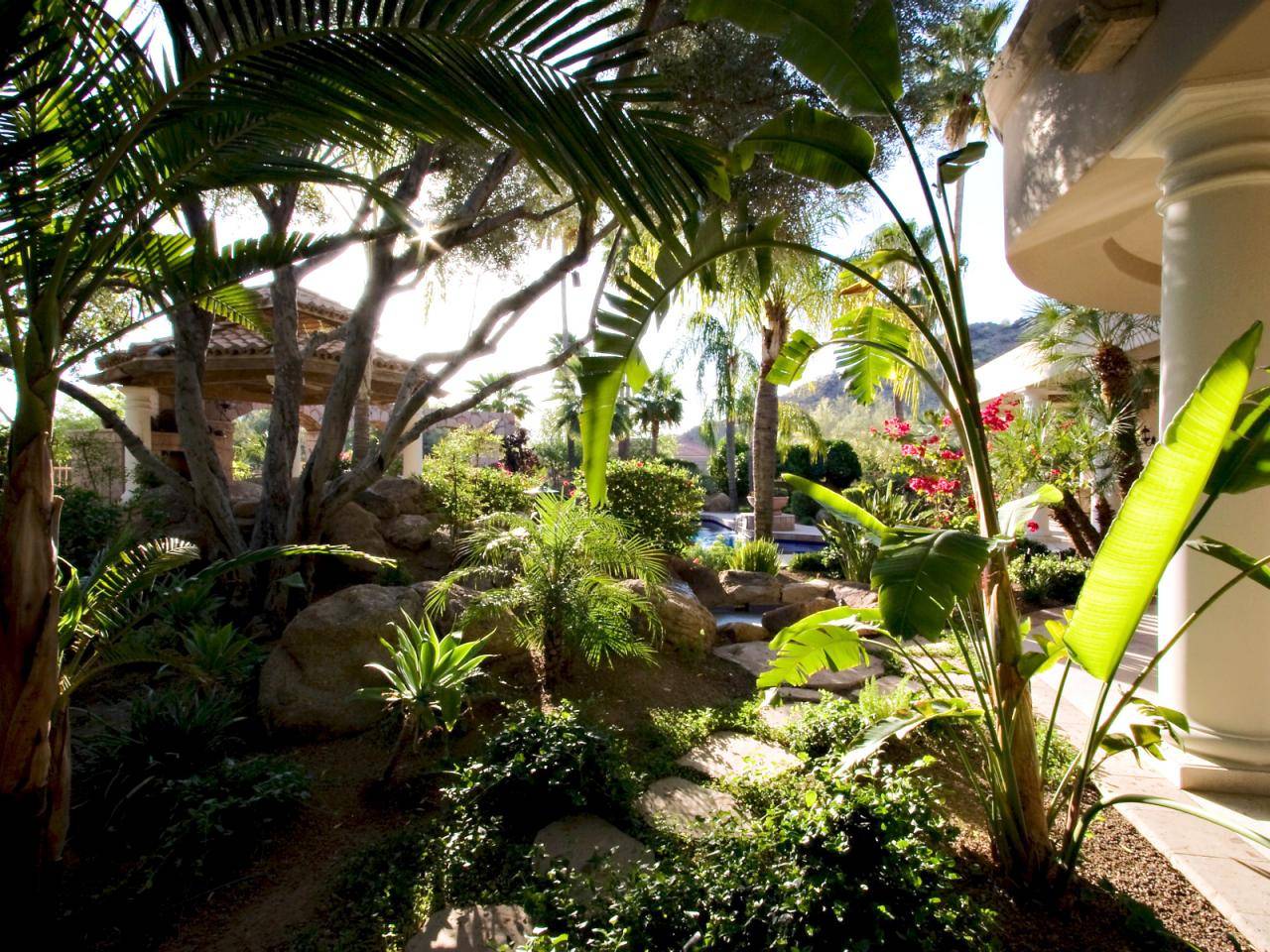 Greg And Nickis Lush Tropical Courtyard Small Tropical Gardens