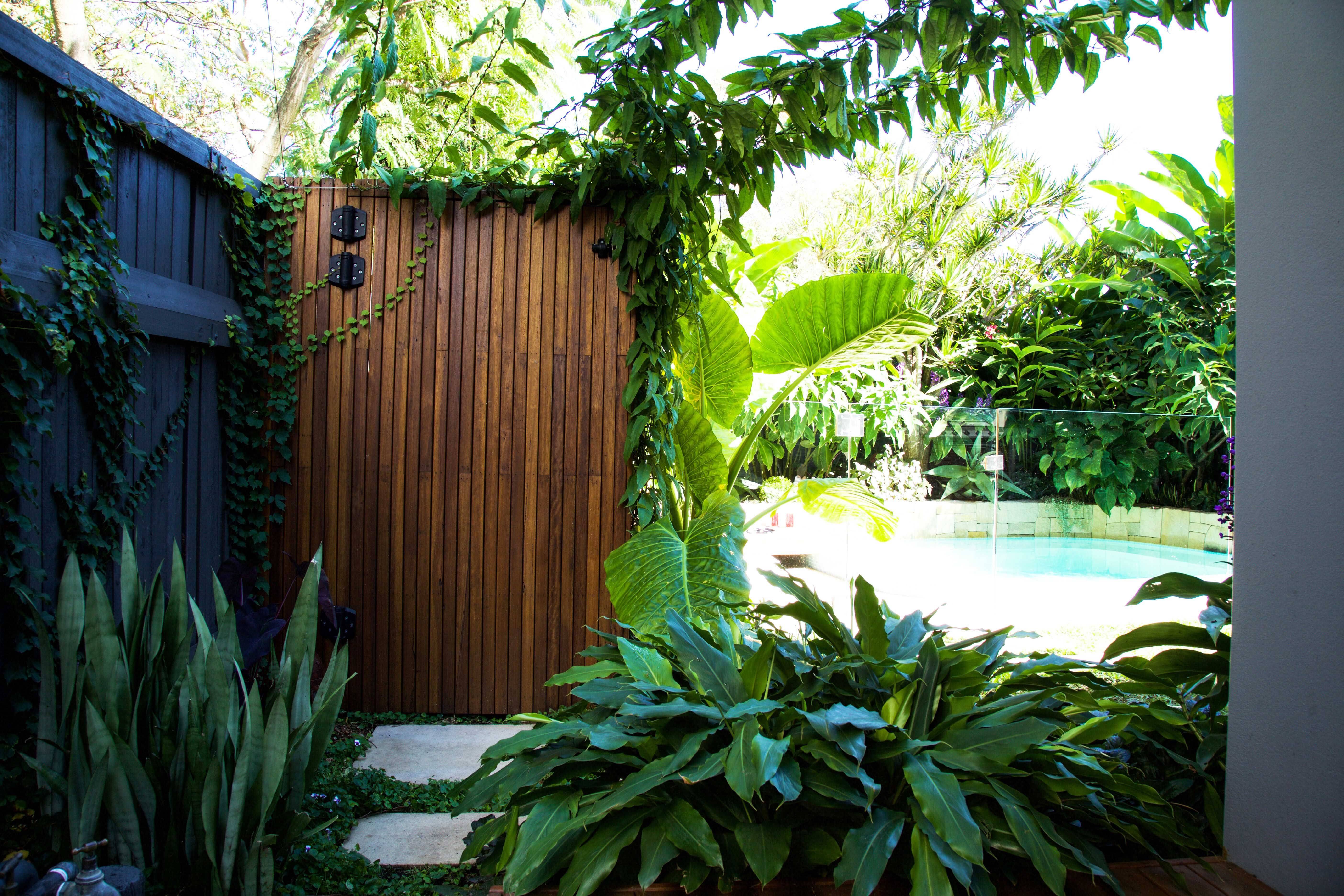 Lush Tropical Garden Hgtv